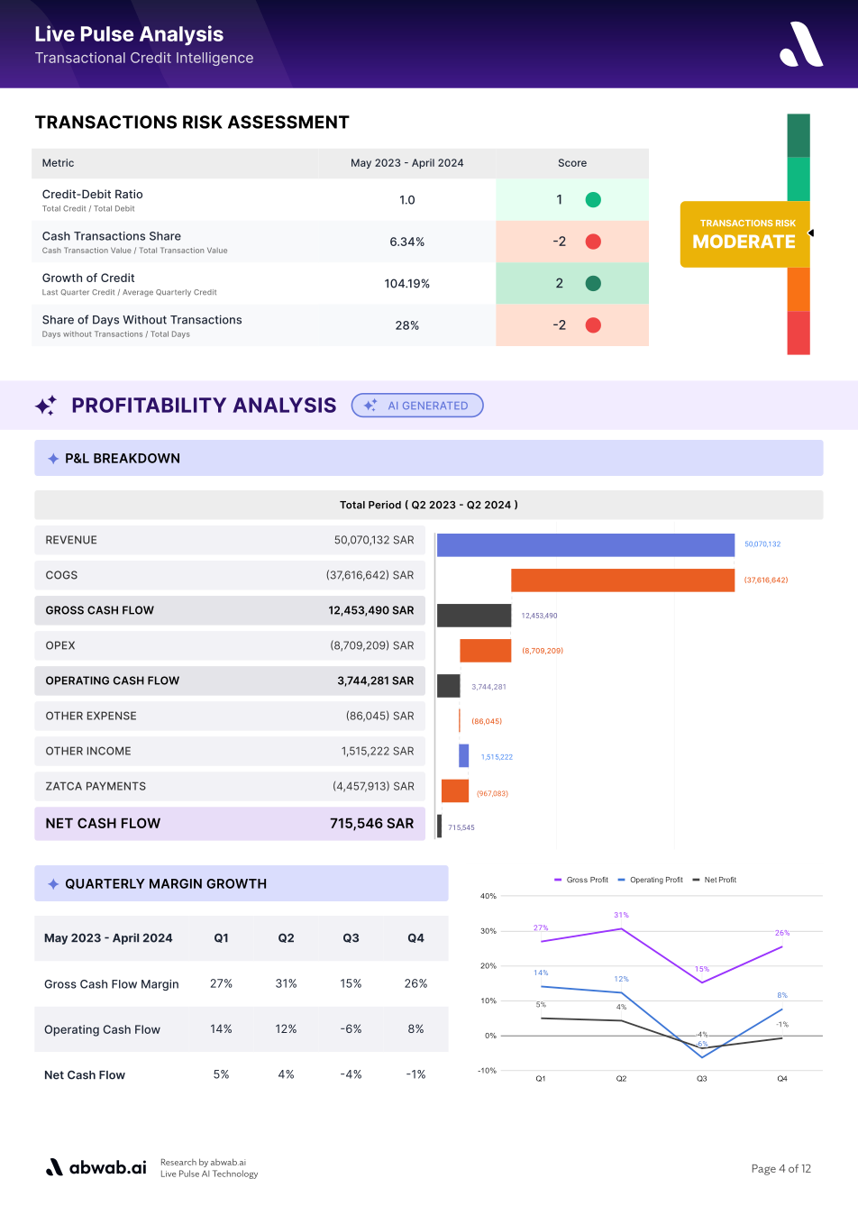 Sample Abwab credit assessment report